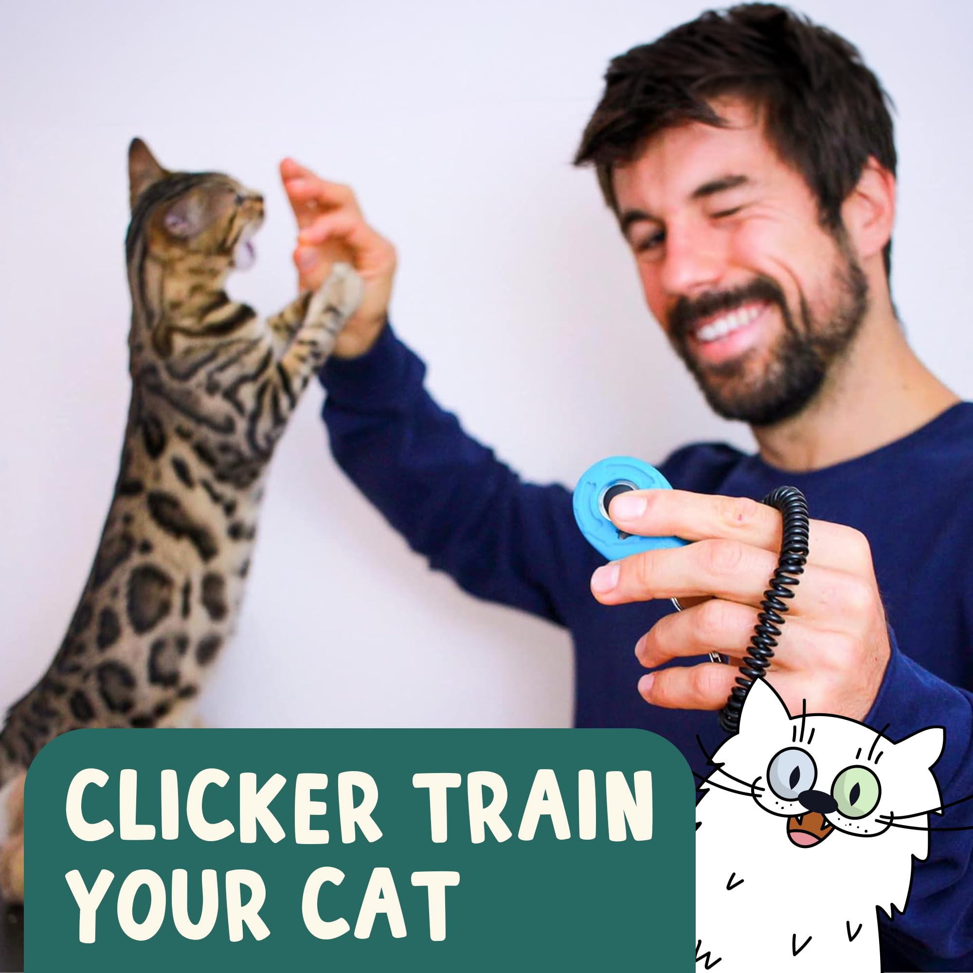 OutdoorBengal Click Crusade litter-box card guides routine formation.
