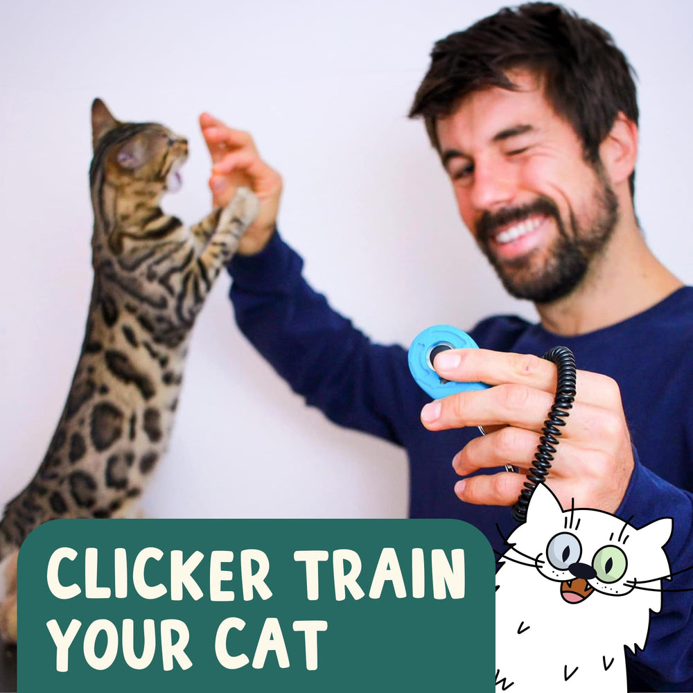 OutdoorBengal Click Crusade litter-box card guides routine formation.