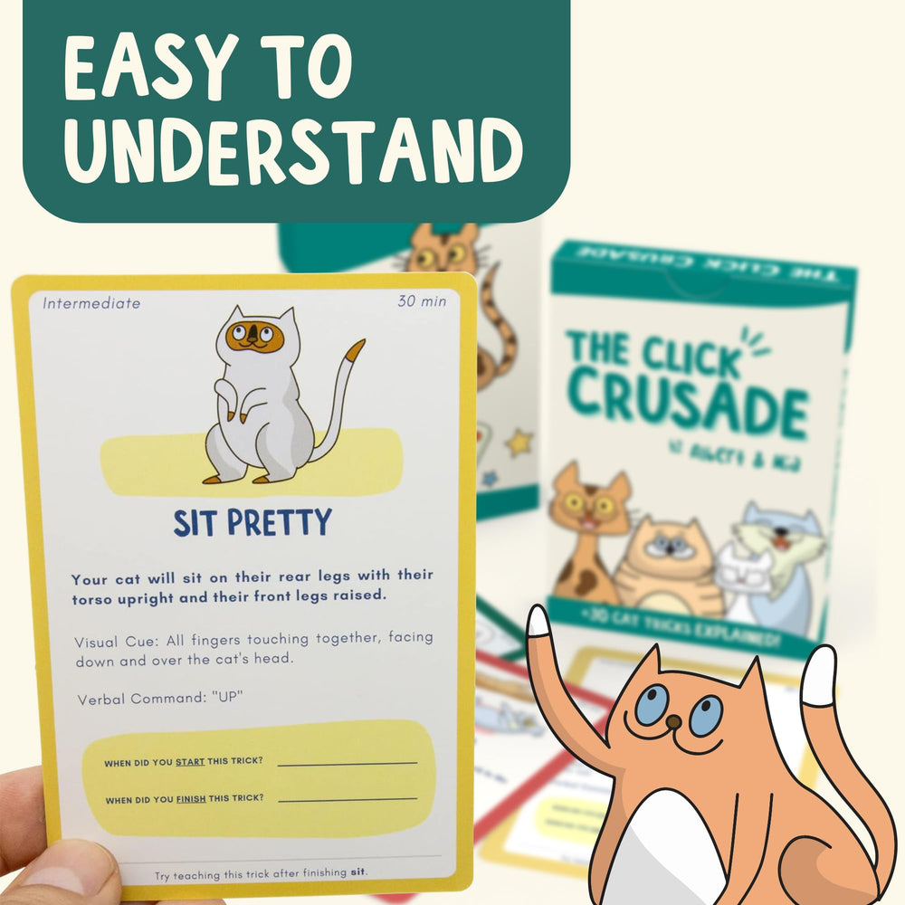 OutdoorBengal Click Crusade spin card sparks movement and agility.
