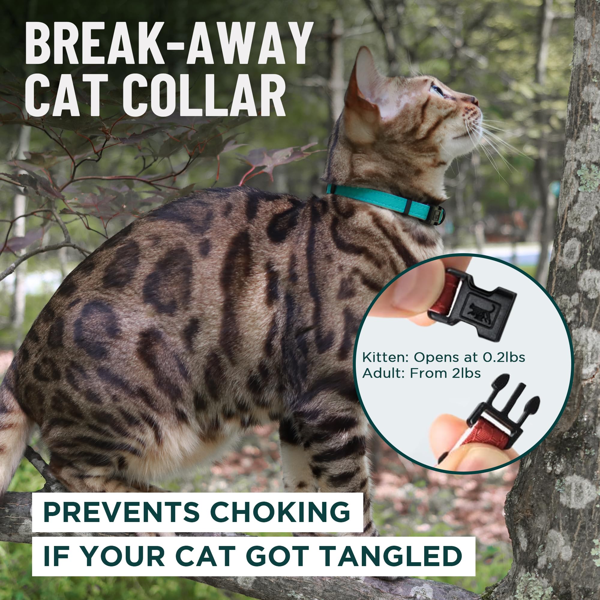 OutdoorBengal green cat collar interior soft padding for comfort