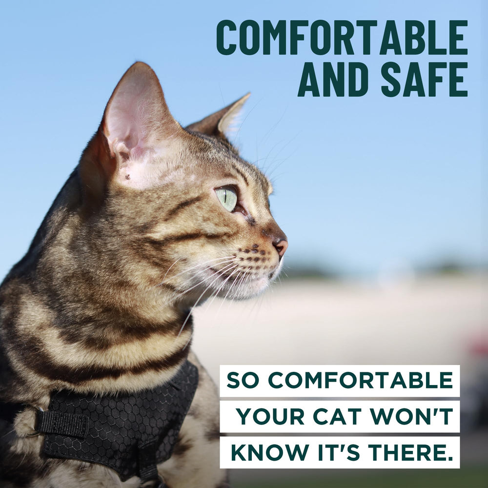 Adjustable straps ensure snug, customizable fit for different cats.