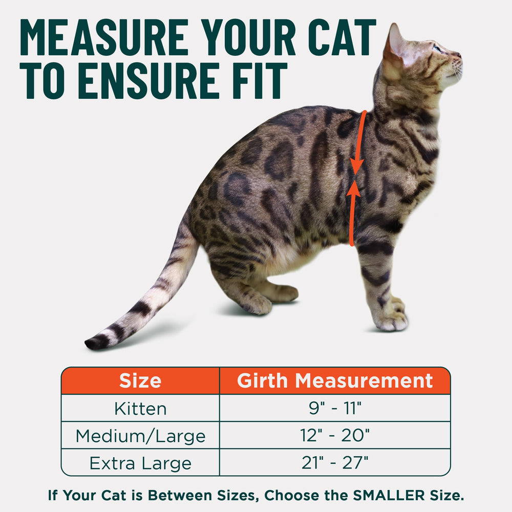 OutdoorBengal Houdini easy-on-off design simplifies first outings.