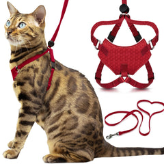 OutdoorBengal Houdini harness in red showing escape-proof design for kittens