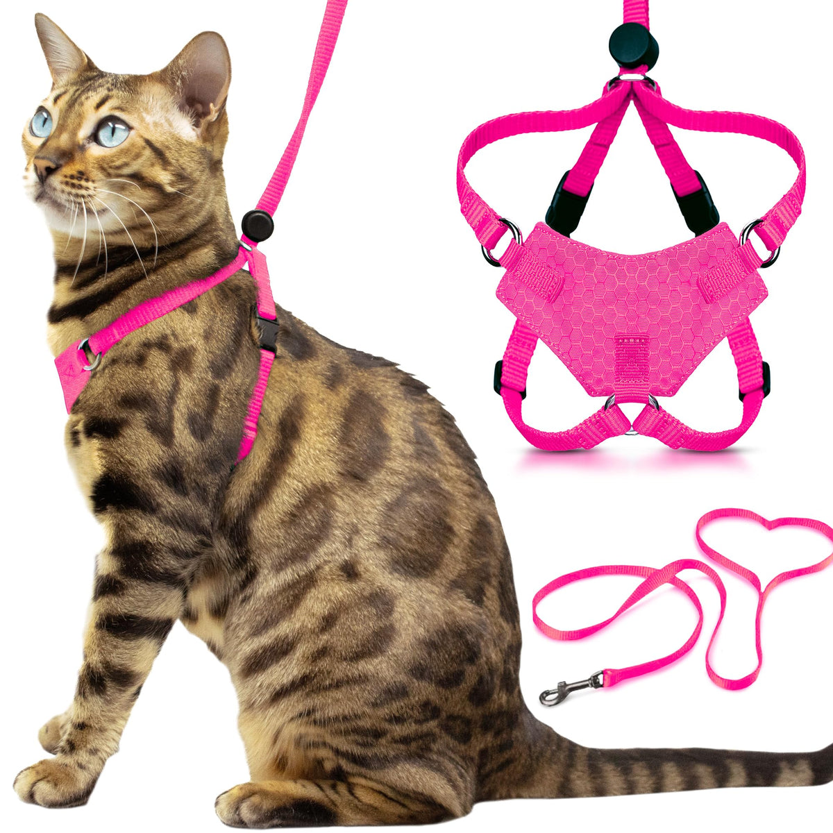 OutdoorBengal Houdini escape-proof design keeps small cats secure during outdoor adventures.