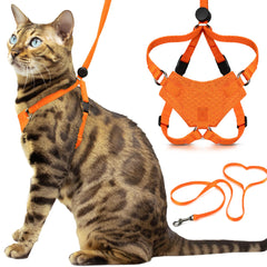 OutdoorBengal Houdini escape-proof harness for small kittens during walks