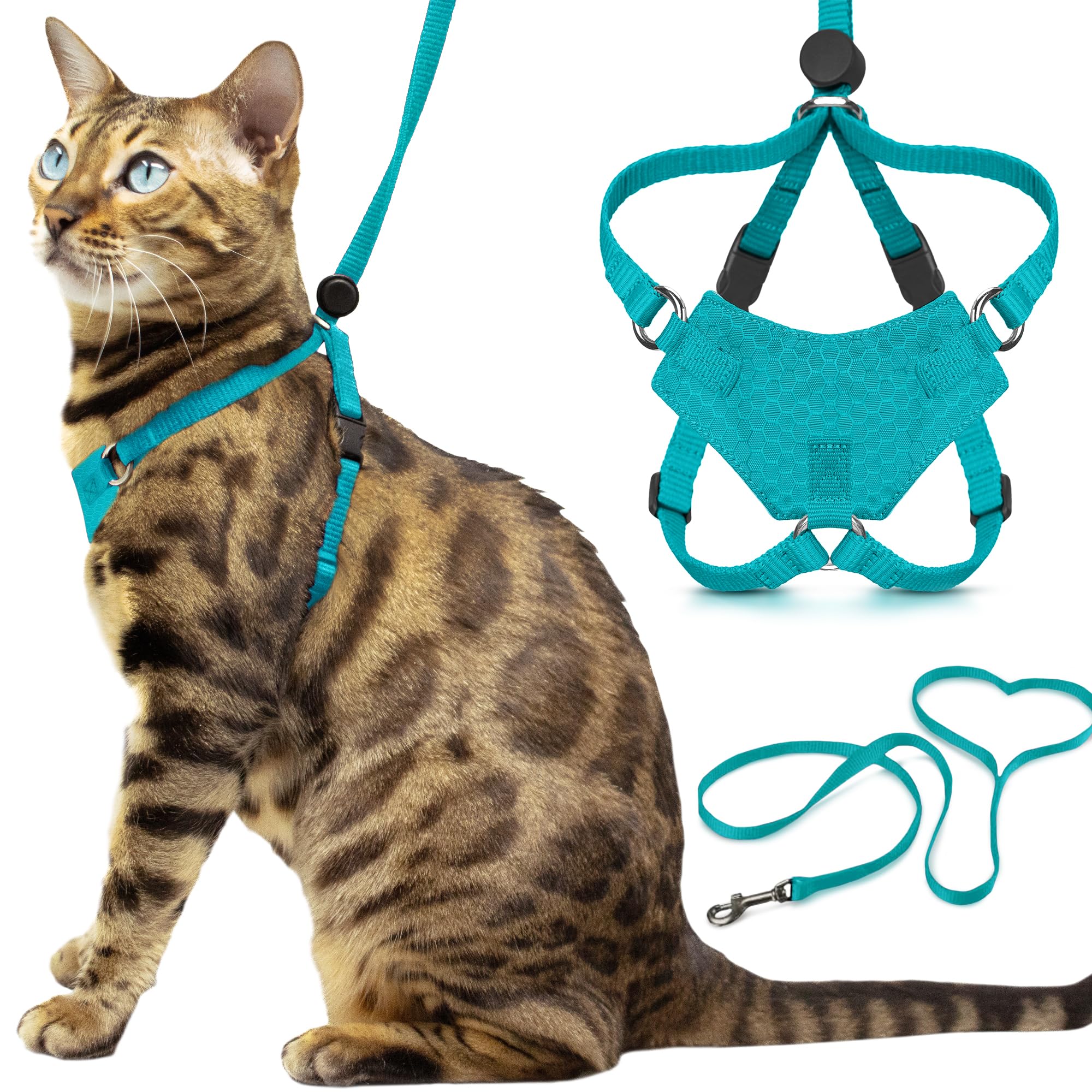 OutdoorBengal Houdini escape-proof harness in turquoise secures kittens during walks.
