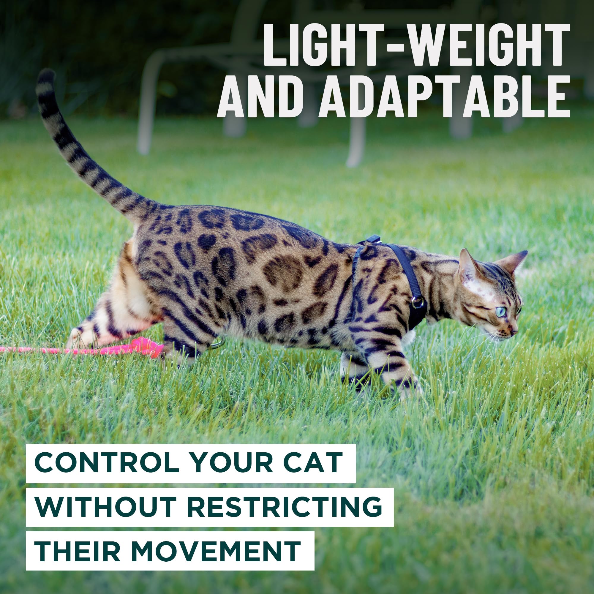 OutdoorBengal Houdini leash attachment points for secure walking