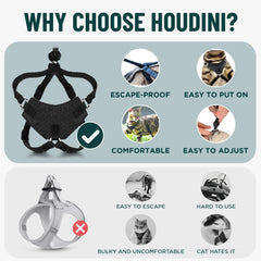 OutdoorBengal Houdini orange leash for smooth walking control.