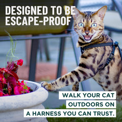 OutdoorBengal Houdini soft-padded chest area enhances comfort on outdoor adventures.