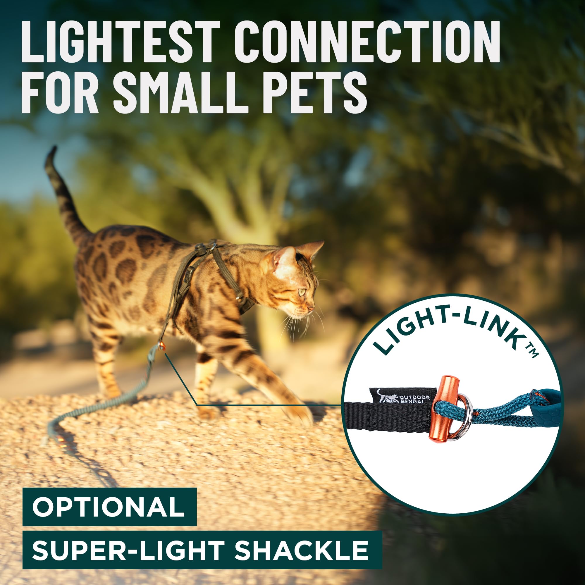 OutdoorBengal Kushma bungee-absorption softens tension during quick starts.