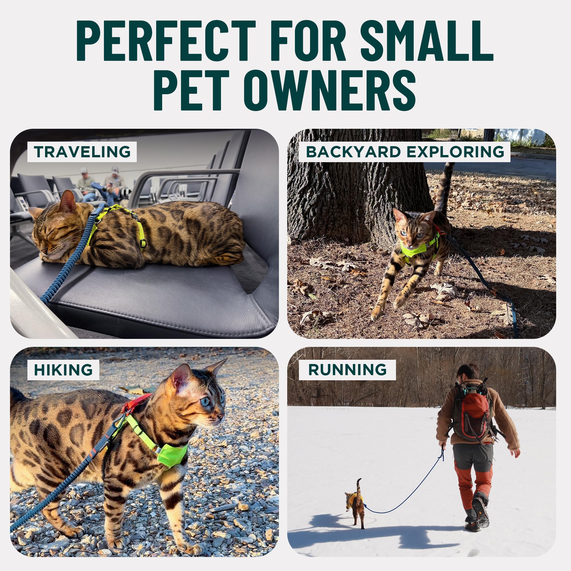 OutdoorBengal Kushma daily-use leash suits city strolls and light trails.