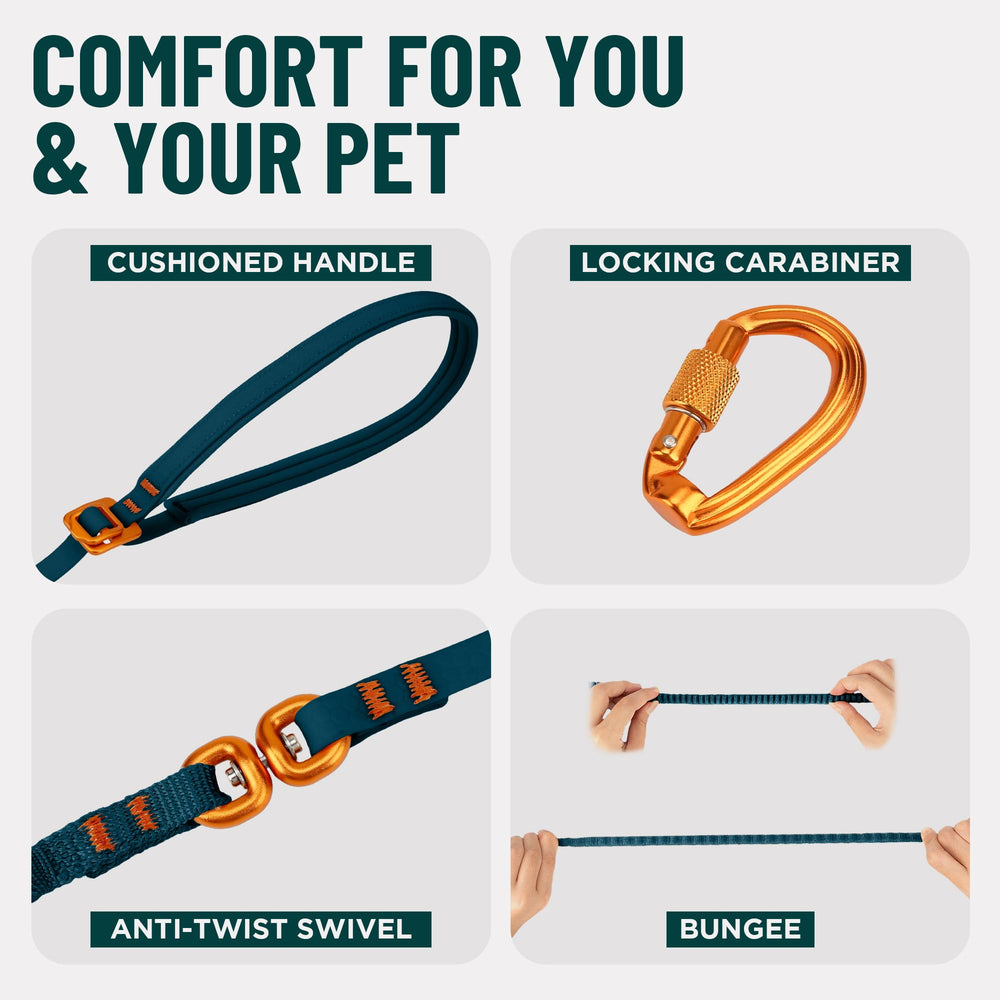 OutdoorBengal Kushma lightweight-leash keeps small pets comfortable on outings.