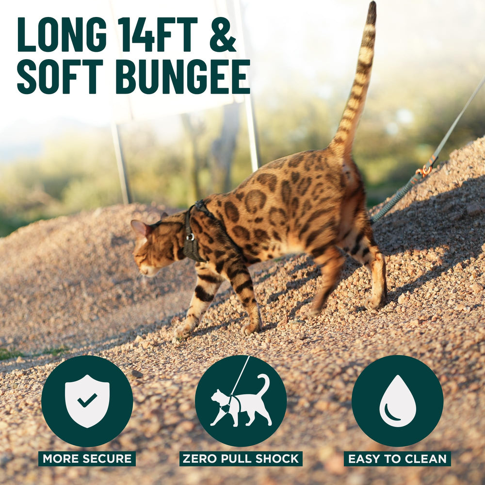 OutdoorBengal Kushma rain-ready-clean design keeps gear fresh after damp walks.