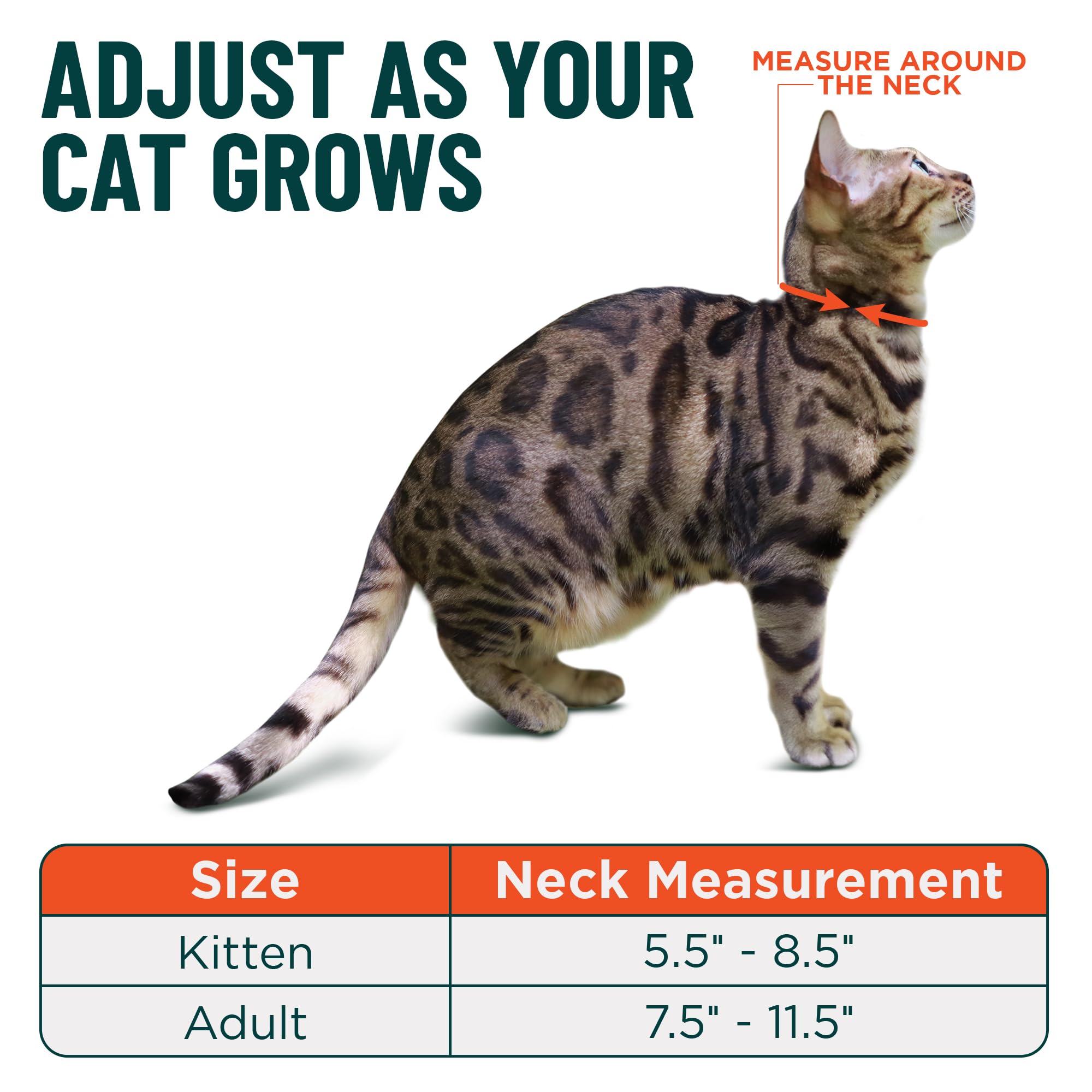 OutdoorBengal Orange Cat Collar no-bell design reduces noise for quiet cats.