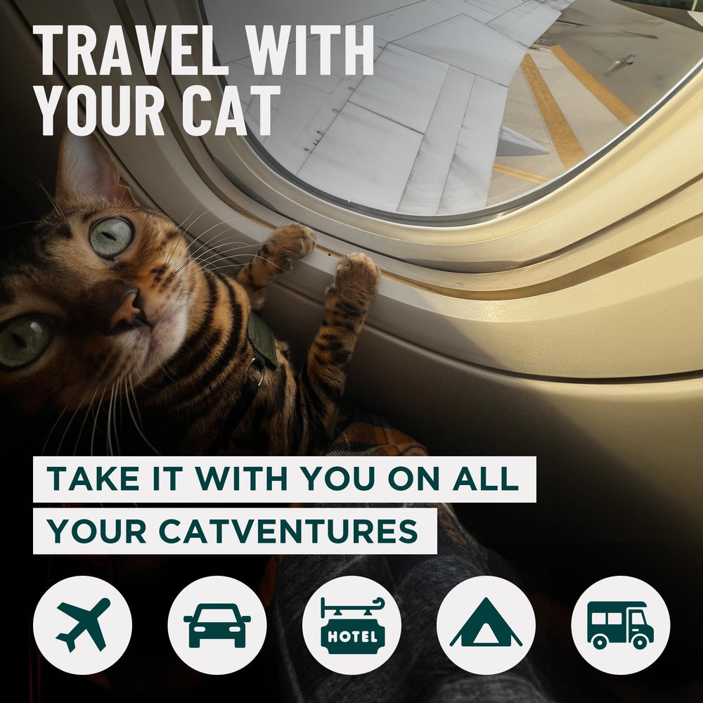 OutdoorBengal Travel Litter Box open shows roomy interior for cats.