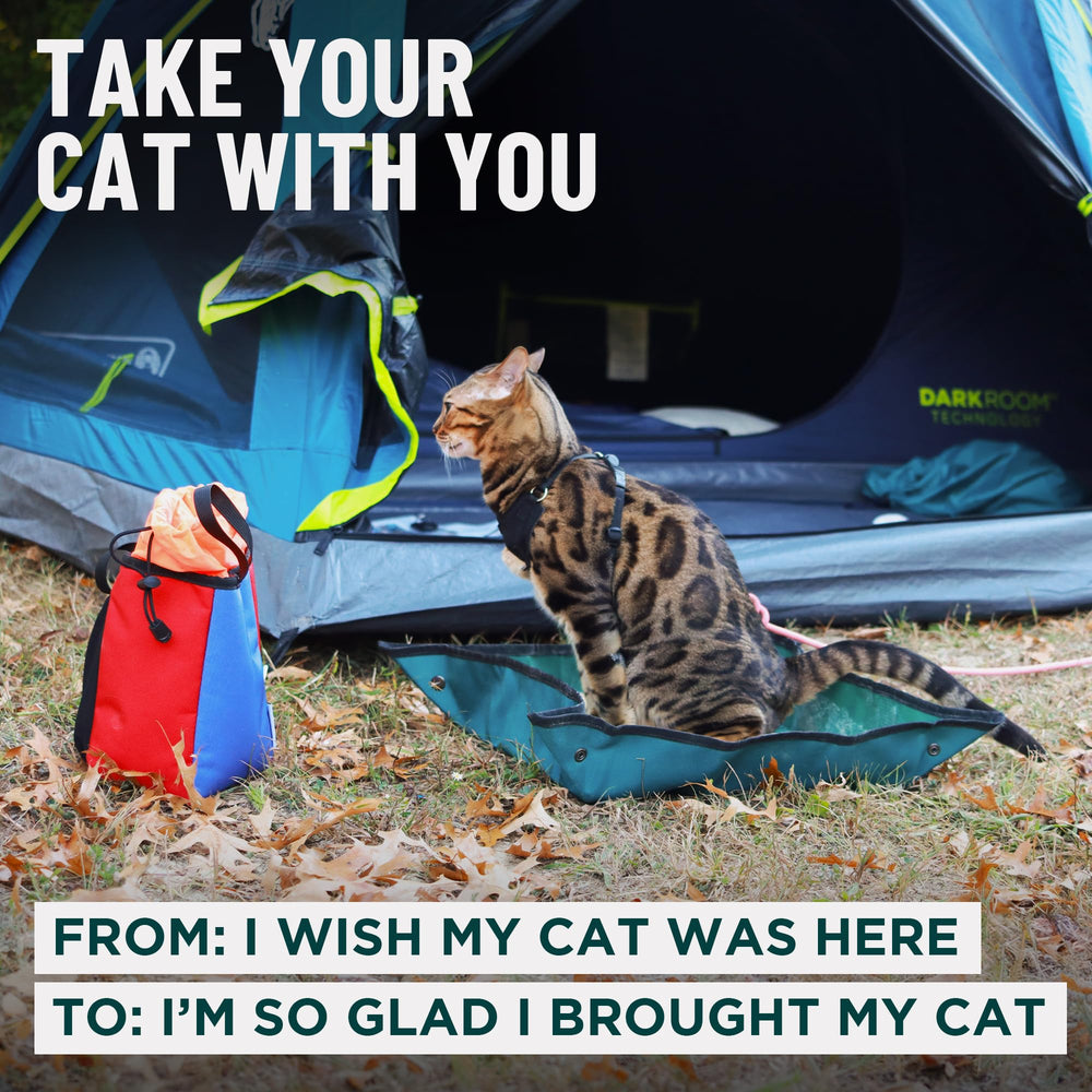 OutdoorBengal Travel Litter Box for plane travel.