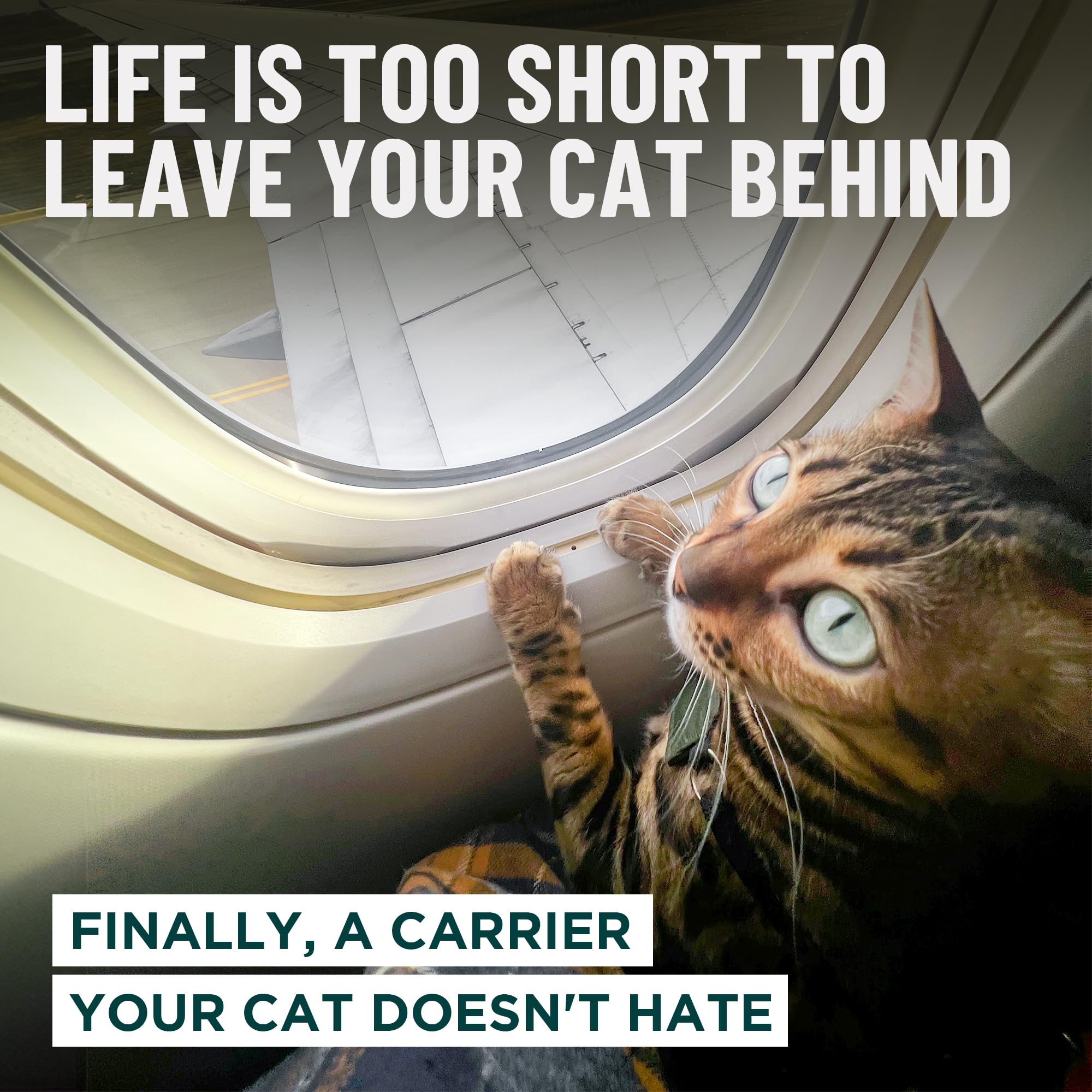 OutdoorBengal Zeppelin adjustable harness adds secure restraint during trips.