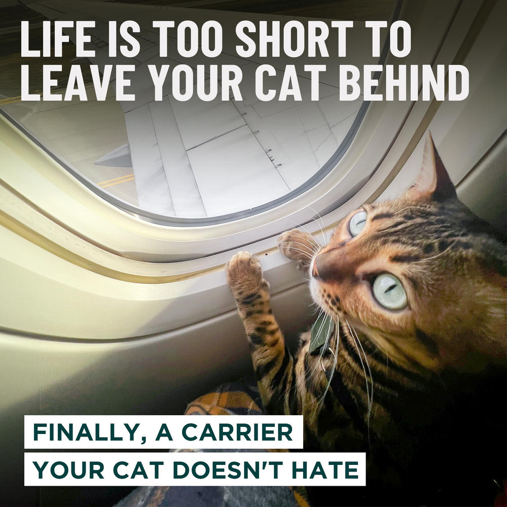 OutdoorBengal Zeppelin adjustable harness adds secure restraint during trips.