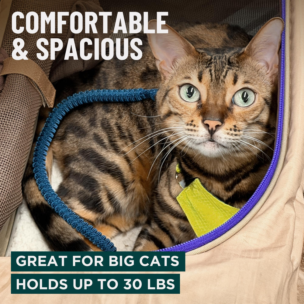 OutdoorBengal Zeppelin side view shows 18x11x11 dimensions and roomy interior for pets.