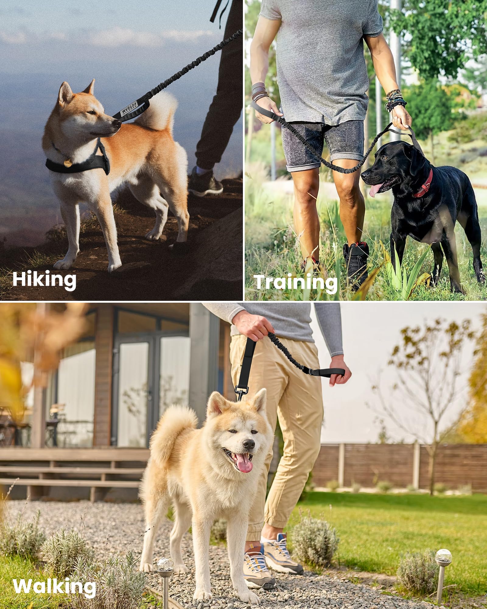 Outdoormaster Bungee Dog Leash easy to wash after adventures.