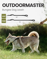 Outdoormaster Bungee Dog Leash features elastic core to reduce jerks.