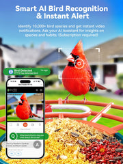 Outinput 2.5K camera with color night vision for vibrant evening birdwatching.