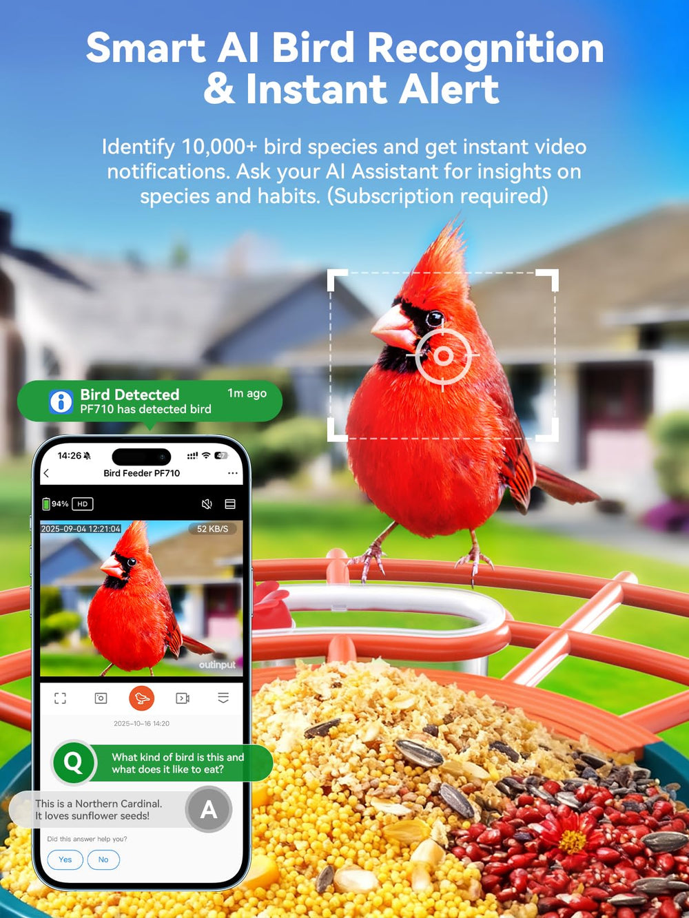 Outinput 2.5K Ultra HD Video captures vivid detail of feathered visitors