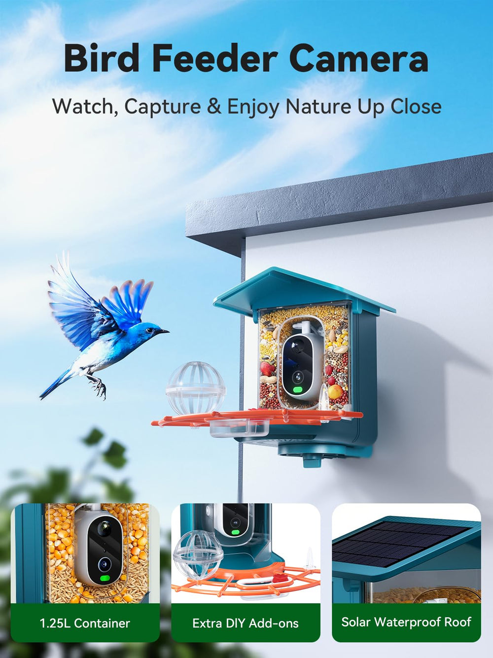 Outinput App-Controlled Bird Camera lets you view moments remotely