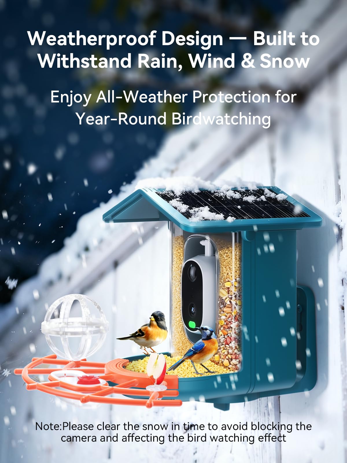 Outinput family-sharing option makes birdwatching a shared gift.
