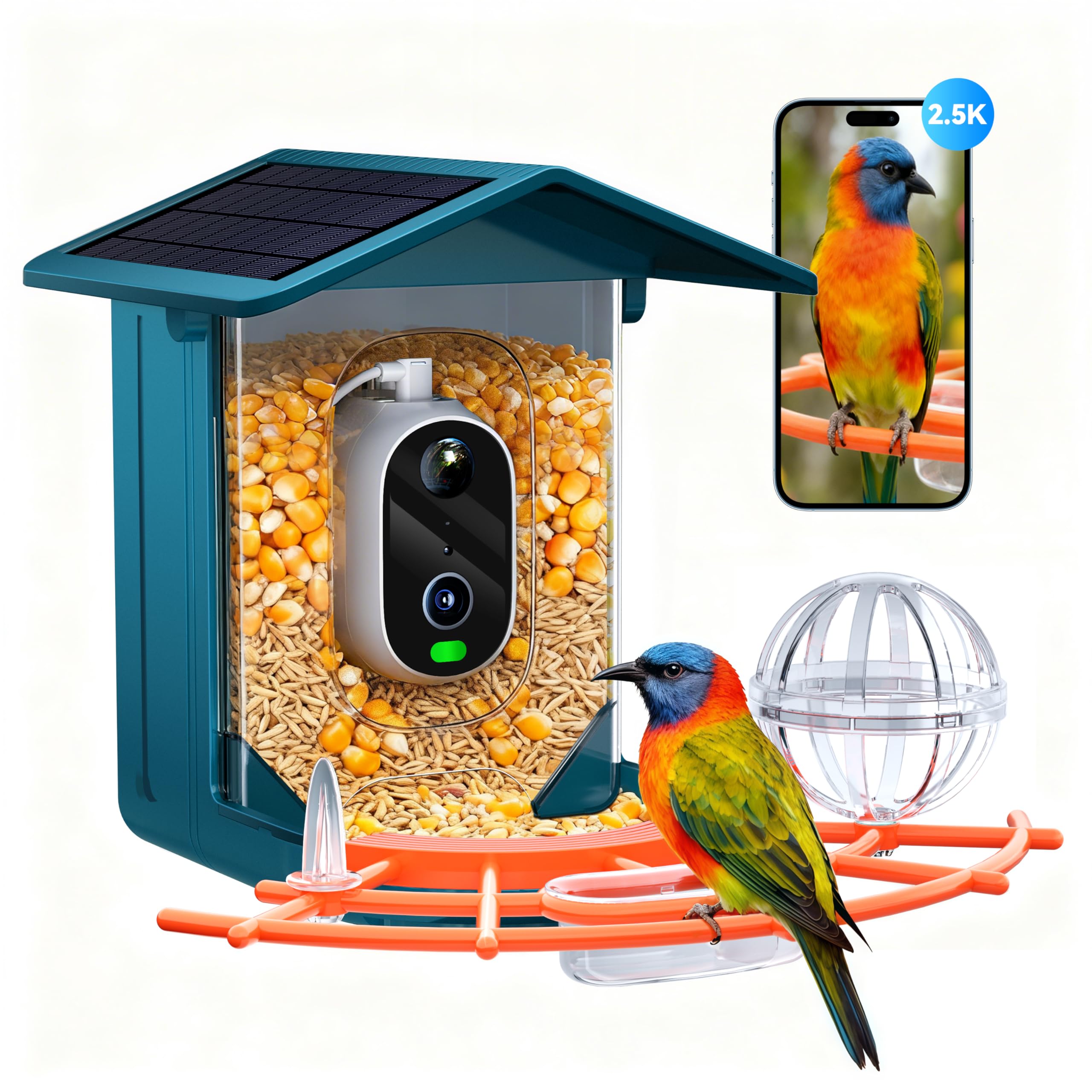 Outinput Smart Bird Feeder Camera delivering crisp bird footage for wildlife viewing