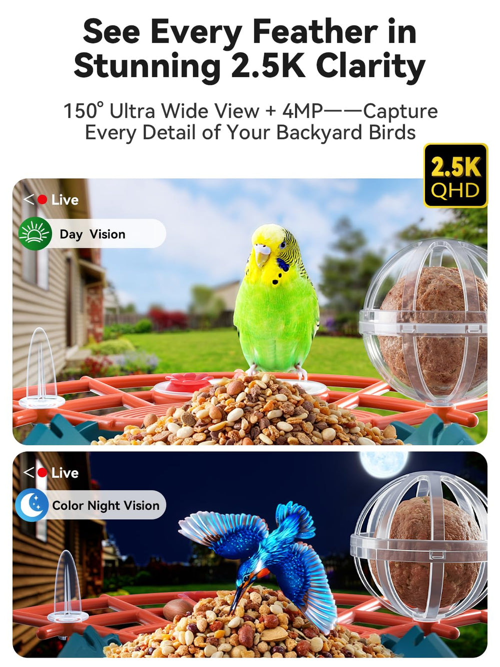 Outinput solar-powered feeder with two 3W panels for reliable energy.