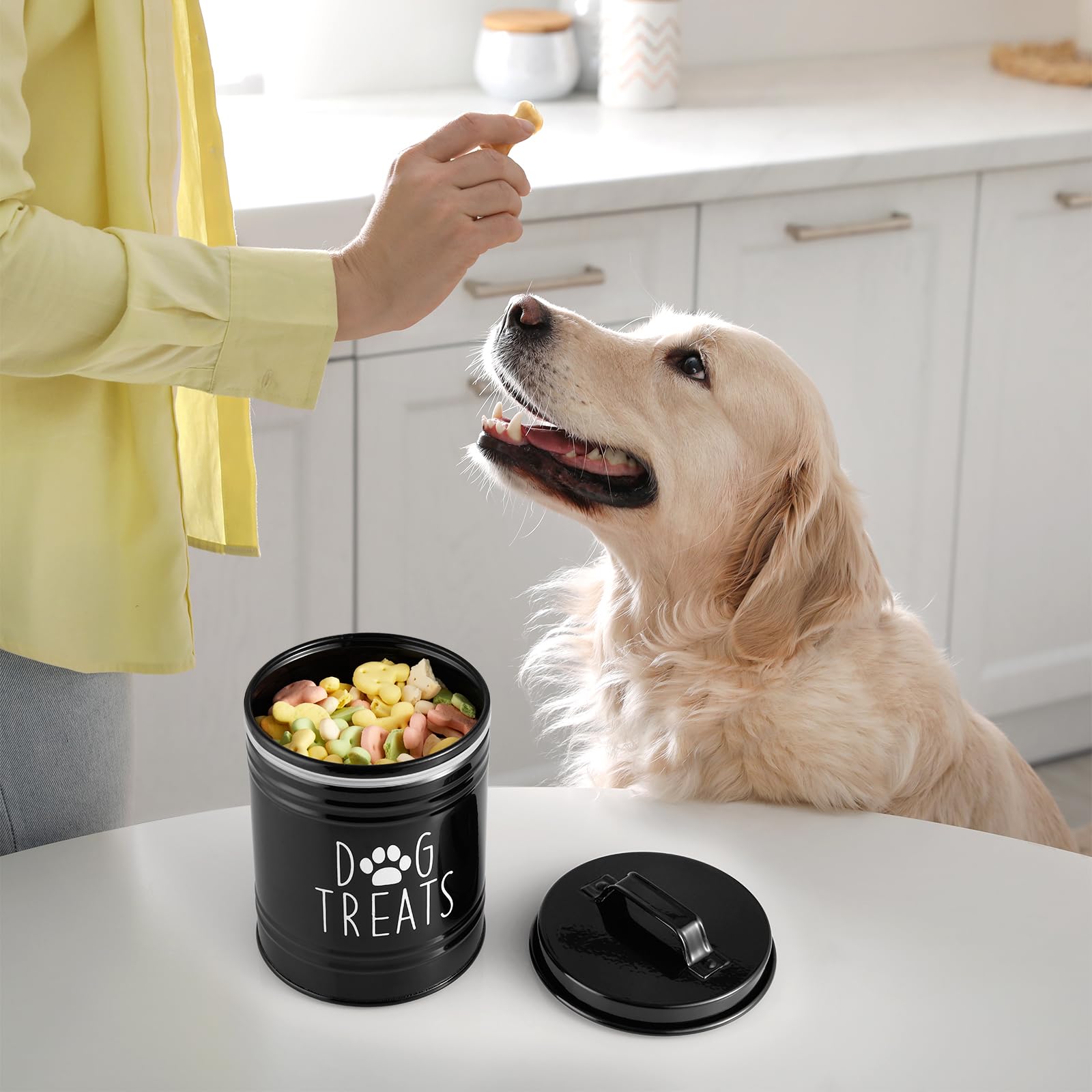 OUTNILI rustic farmhouse design adds charm while organizing dog snacks