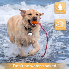 Outopest 360 degree visibility dog light on collar improves awareness.