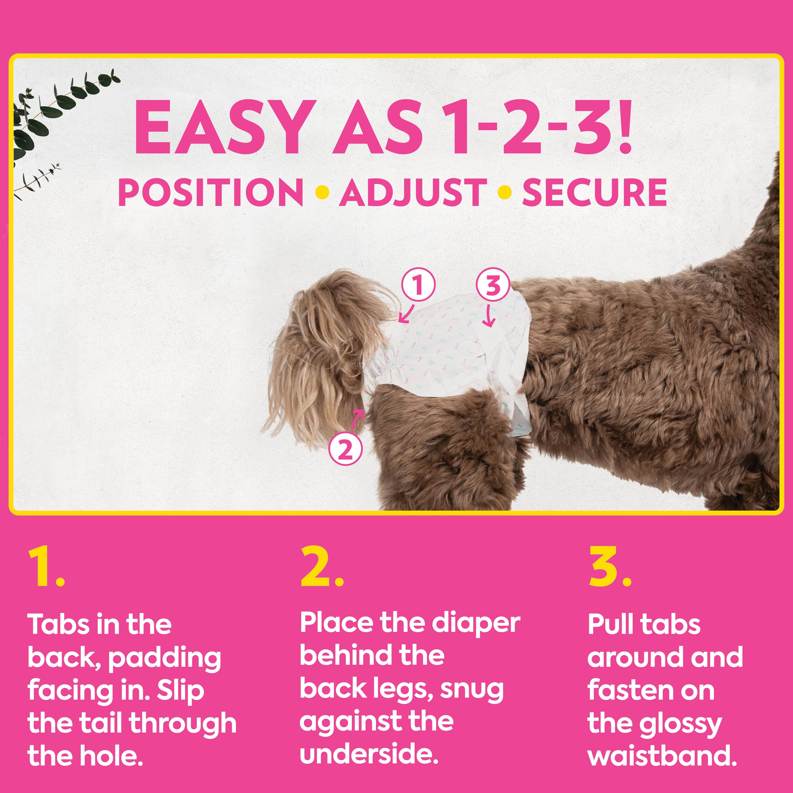 OUT! PetCare diaper highlights a super-absorbent core for reliable leak protection