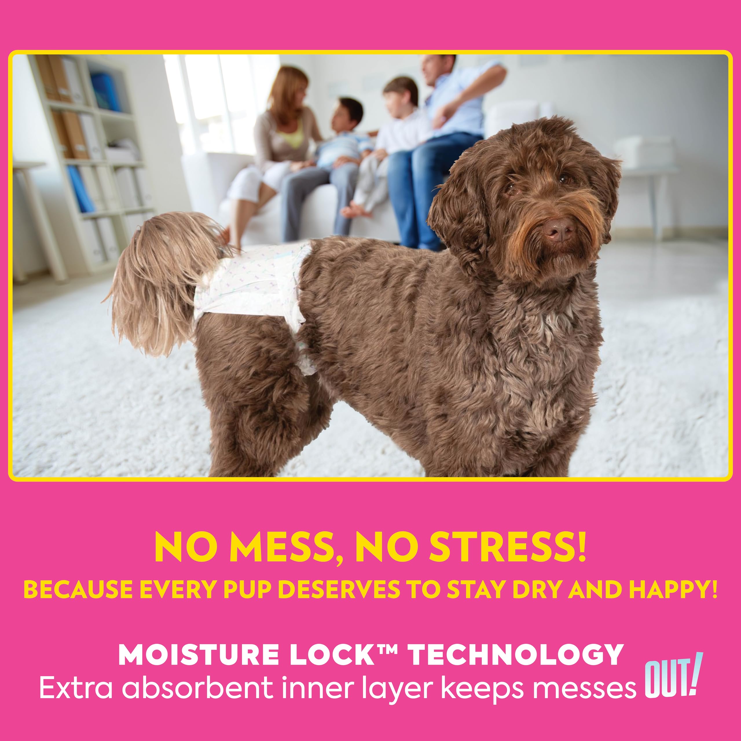 OUT! PetCare diaper used during travel for mess-free outings