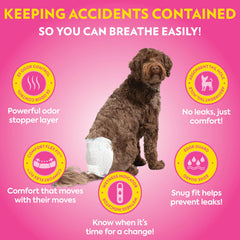 OUT! PetCare diaper shows a wetness indicator signaling when to change