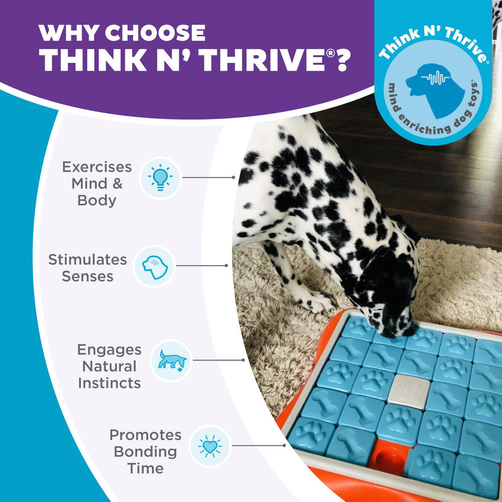 Outward Hound Challenge Slider enables supervised play with treat-based challenges.