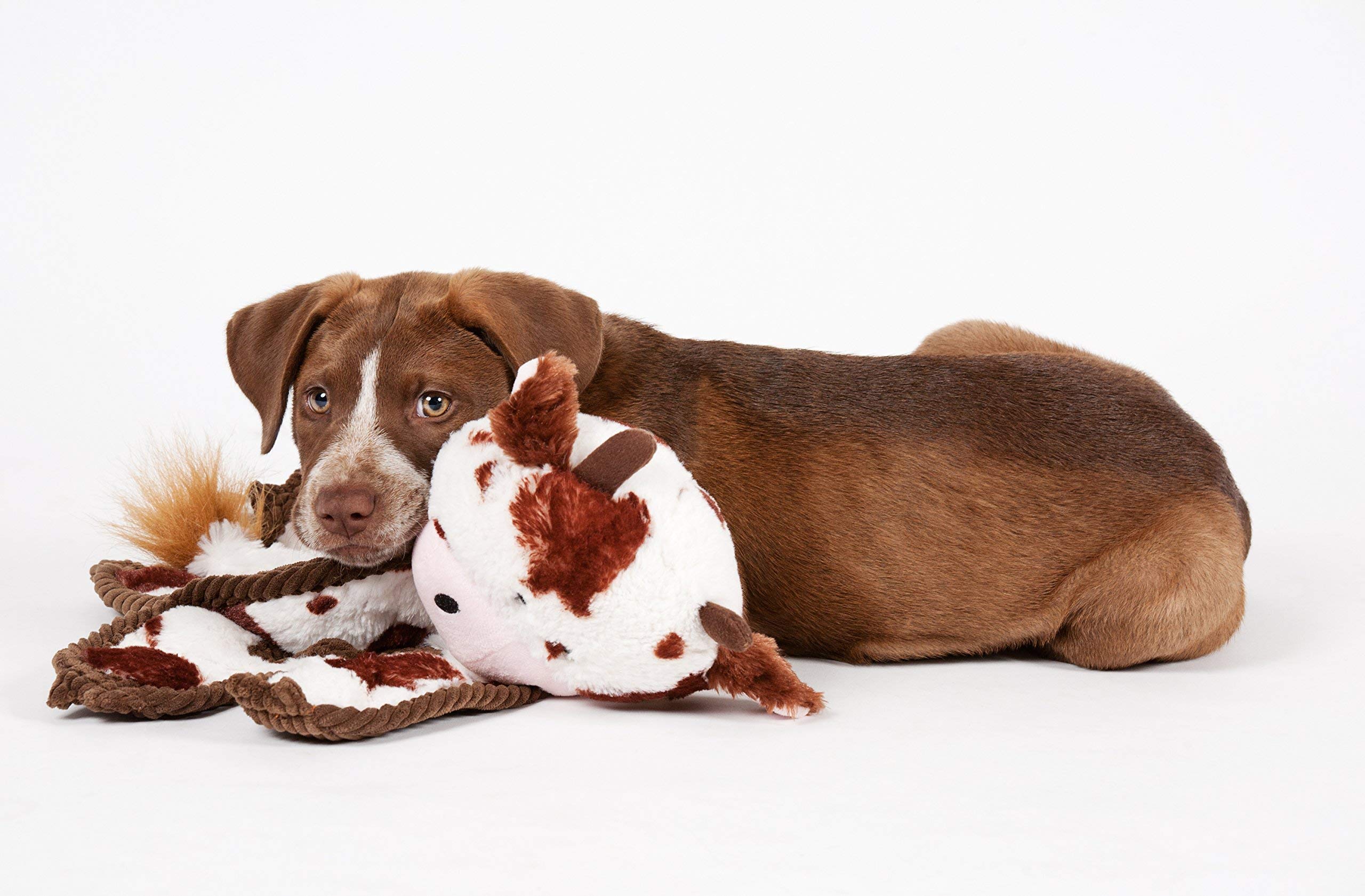 Outward Hound Cuddle Tugs Bunny plush during tug action, ideal for interactive play.
