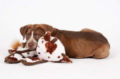 Outward Hound Cuddle Tugs Bunny plush during tug action, ideal for interactive play.