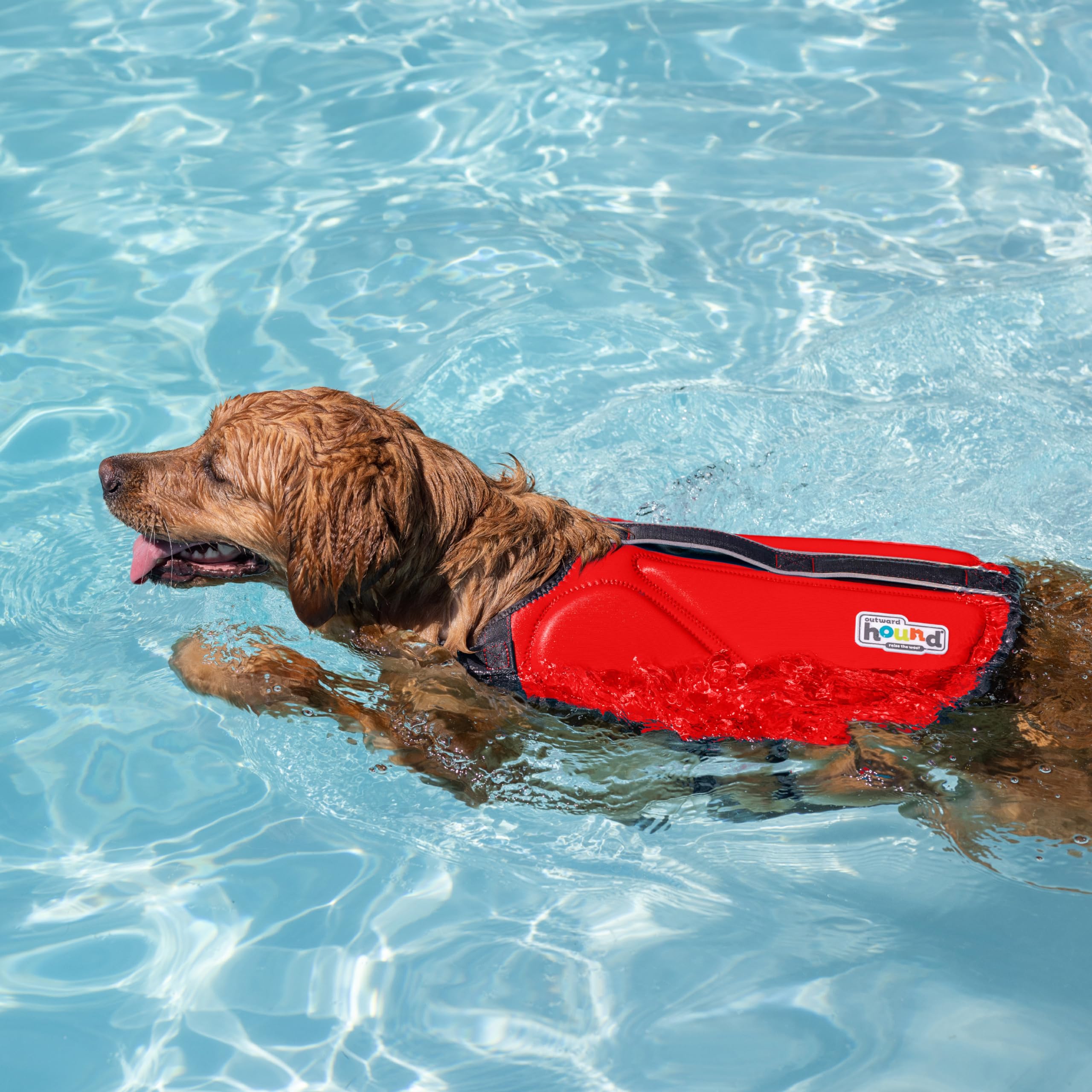 Outward Hound Dawson life jacket with adjustable straps for a snug fit