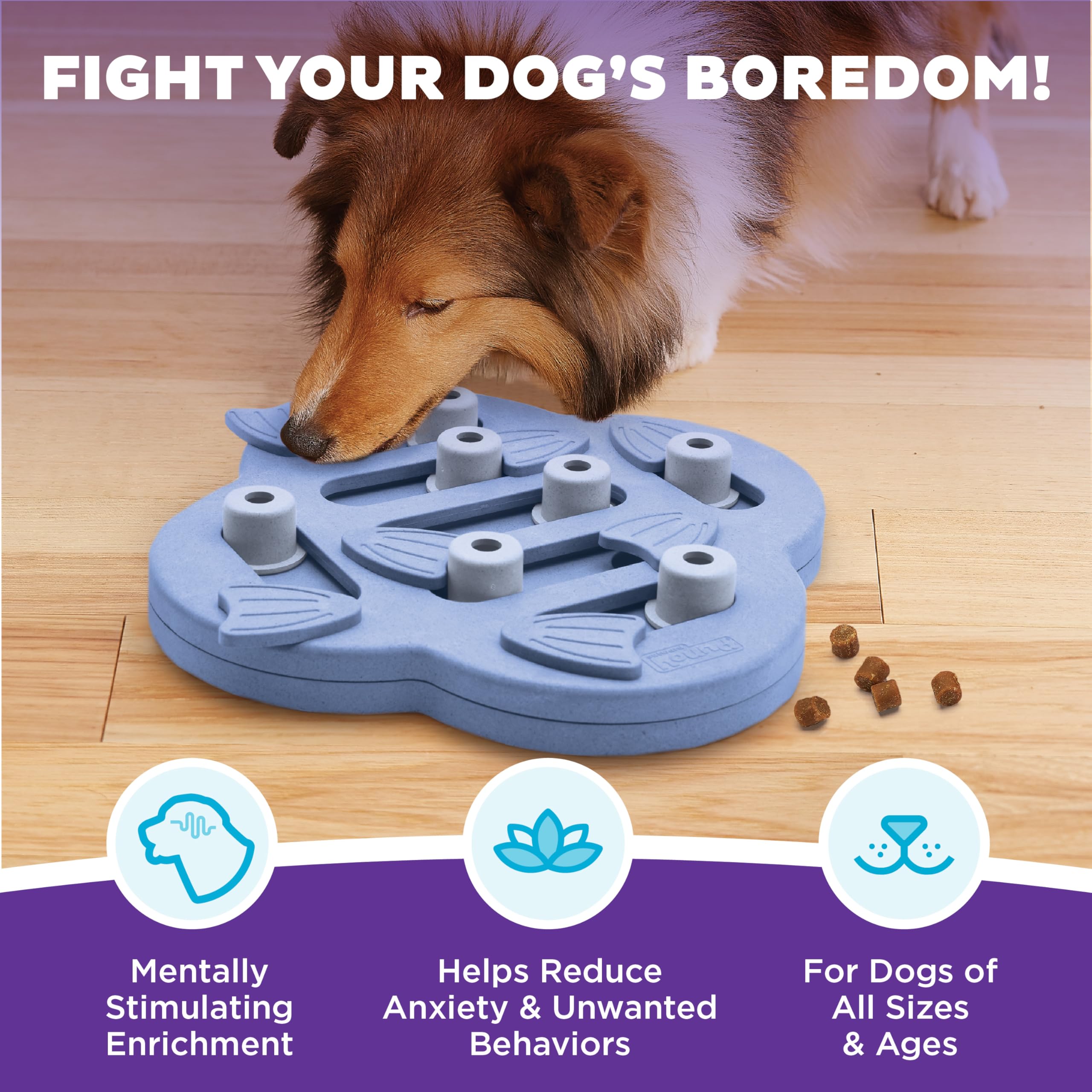 Outward Hound Dog Hide N' Slide blocks invite treat-seeking play