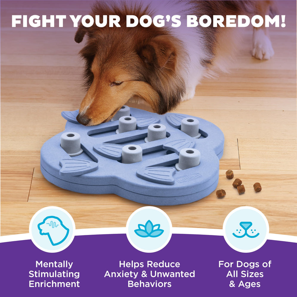 Outward Hound Dog Hide N' Slide blocks invite treat-seeking play