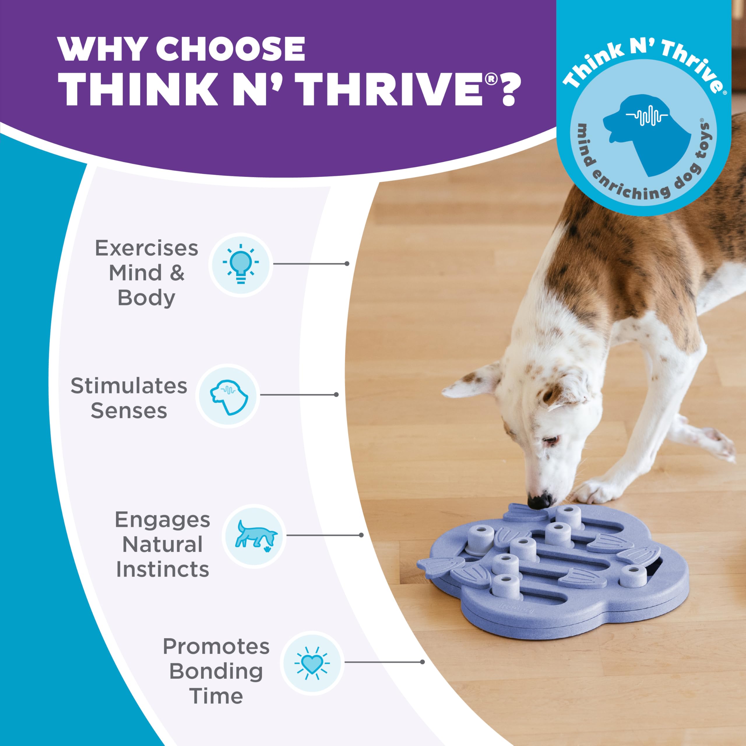 Outward Hound Dog Hide N' Slide Level 2 challenge for smart dogs