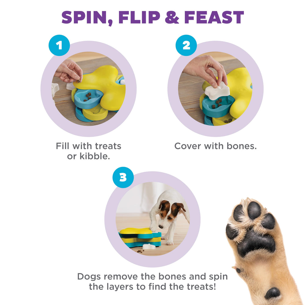 Outward Hound Dog Tornado level 2 intermediate offers a smart challenge for curious dogs.