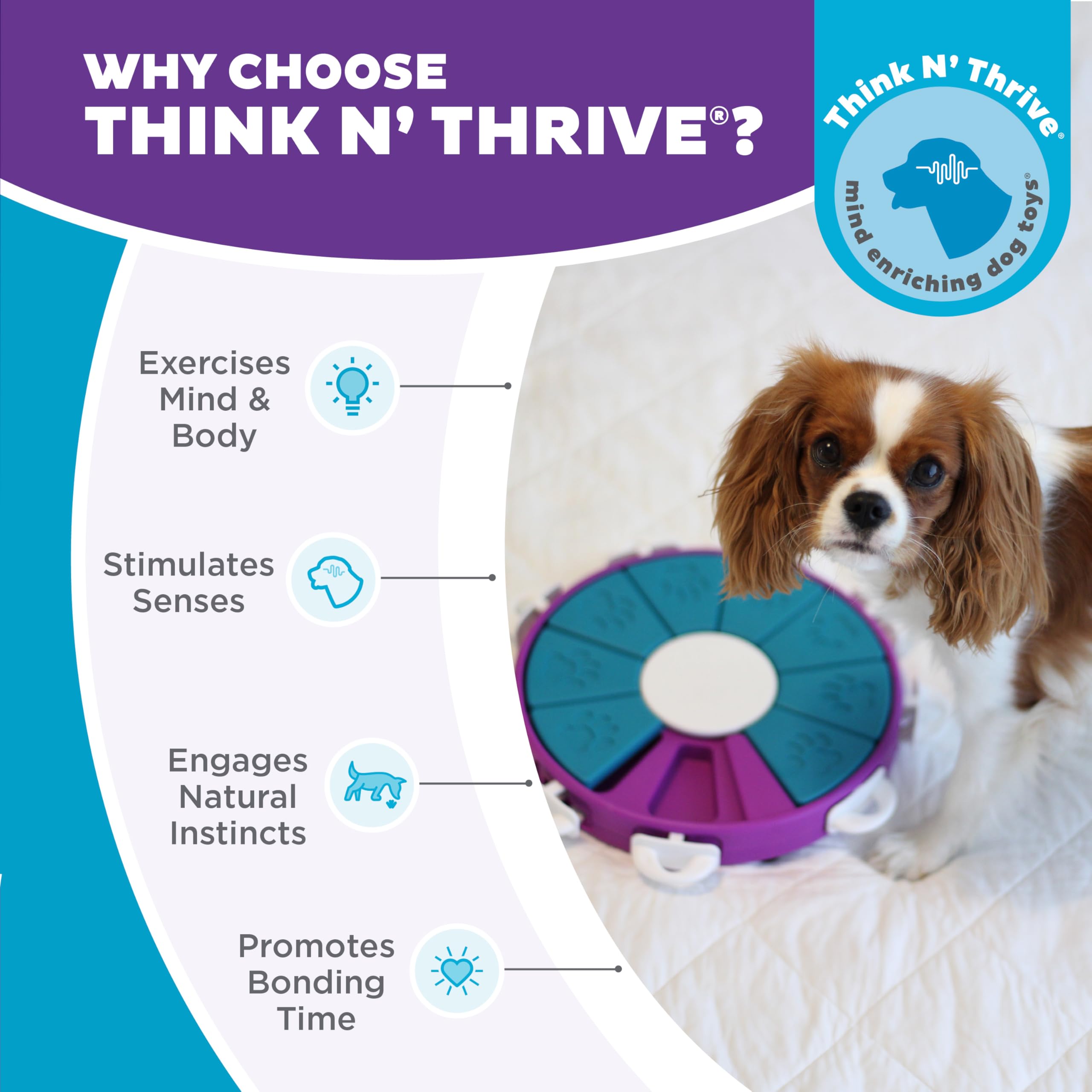 Easy-to-clean design after canine play sessions with Outward Hound Twister.