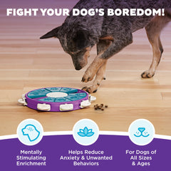 Outward Hound Dog Twister tabs unlock blocks to reveal treats.