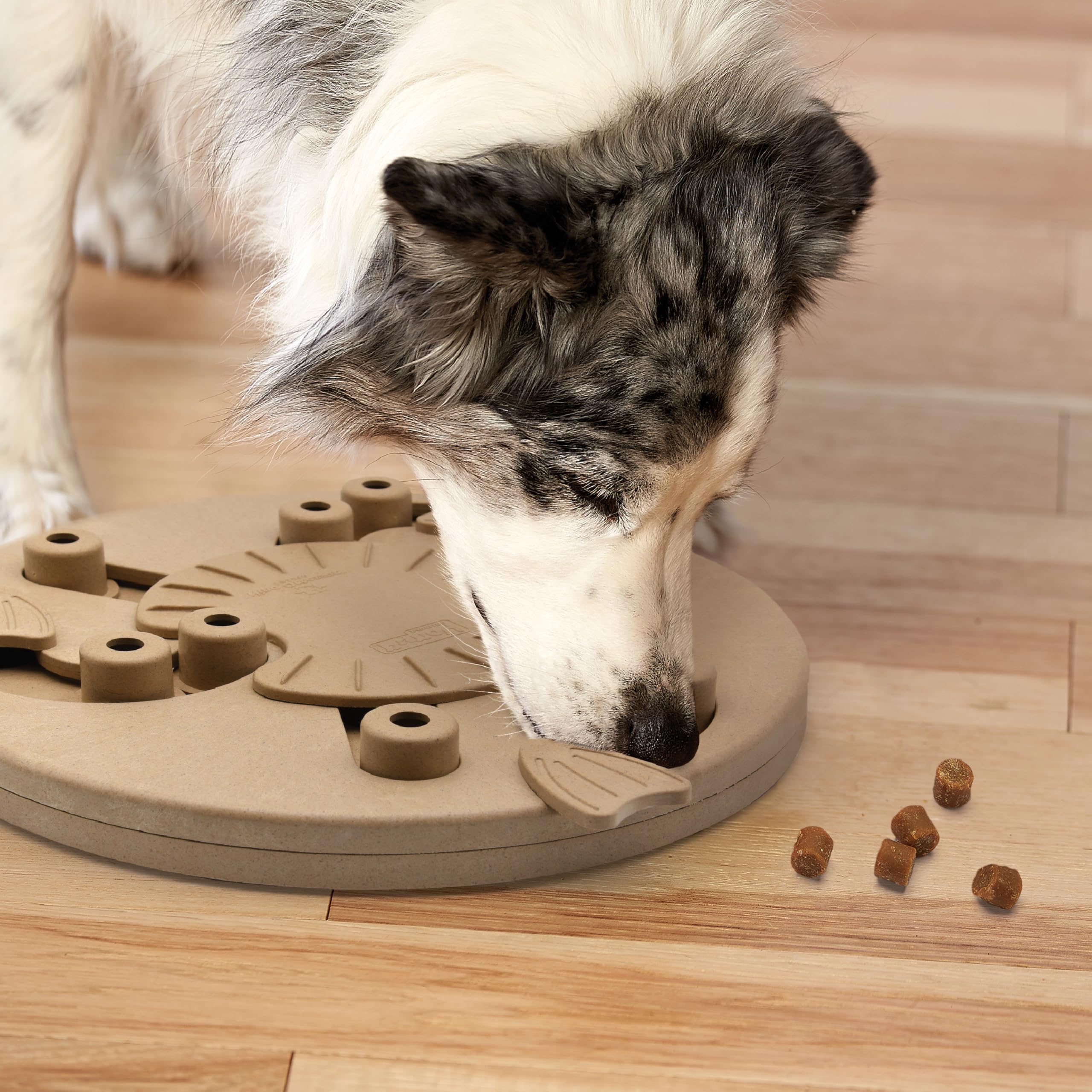 Outward Hound Dog Worker enrichment scene with a dog enjoying brain games.