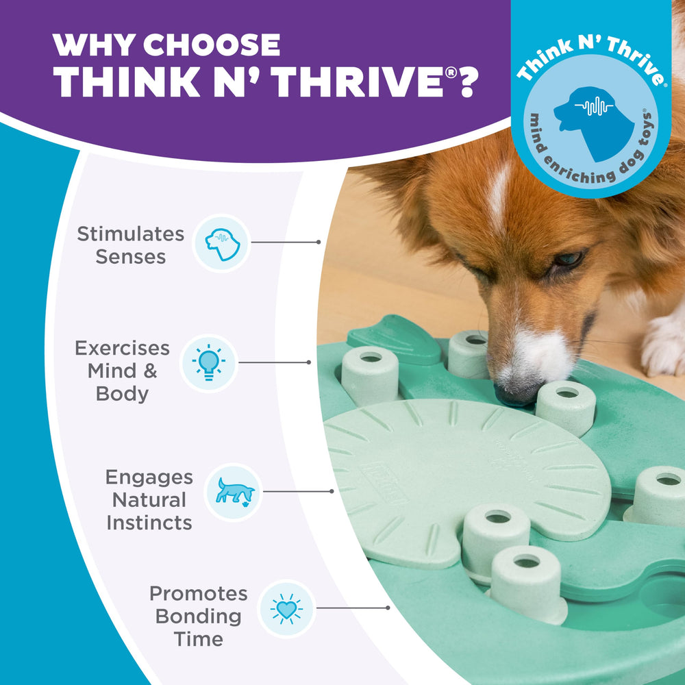 Outward Hound Dog Worker mealtime puzzle promotes mindful dining and slower eating.