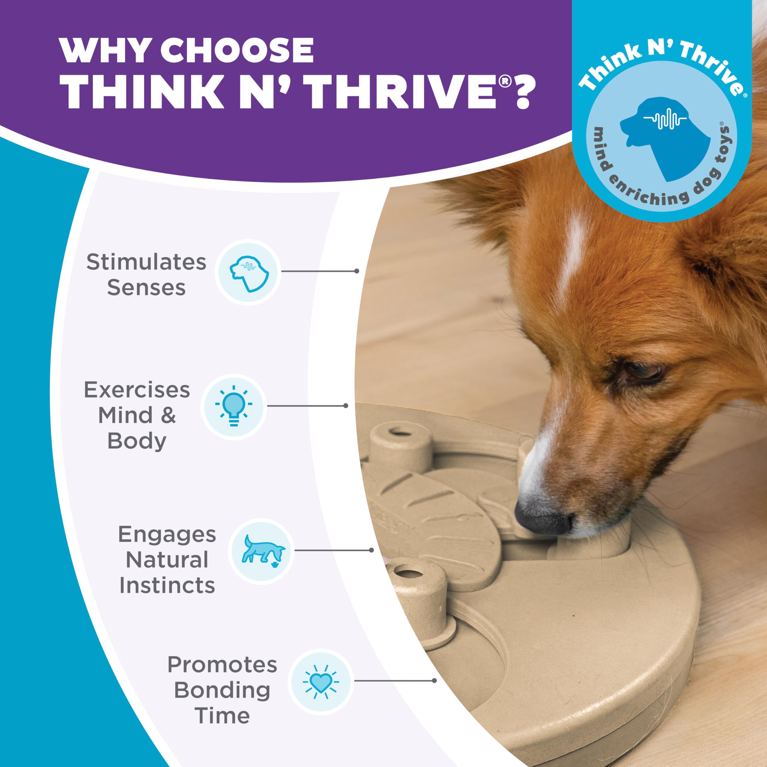 Outward Hound Dog Worker used at mealtime to engage dogs through puzzle feeding.