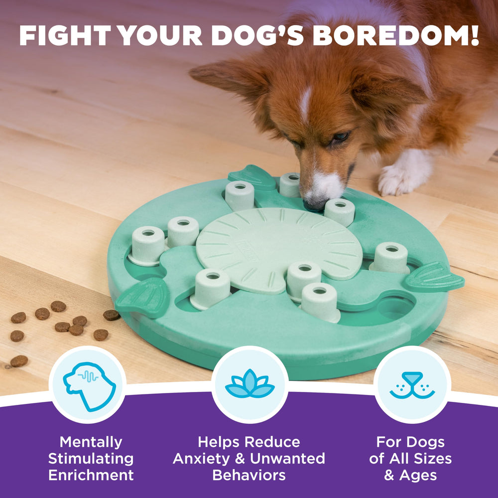 Outward Hound Dog Worker spin wheel action highlights puzzle complexity and reward discovery.